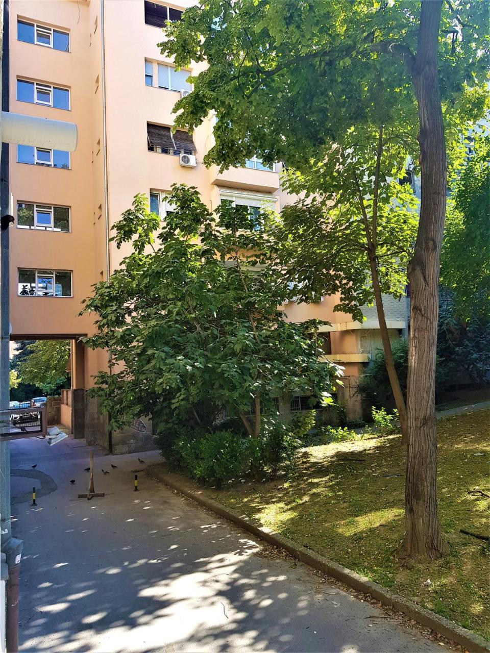 Asya Blue Apartment بلغراد المظهر الخارجي الصورة
